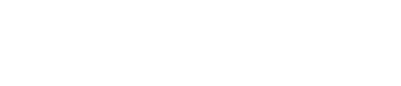 Festicidi Logo